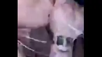 चलाएँ बकवास नहीं कर सका, डैडी ने इसके बजाय मेरा चेहरा चोद दिया